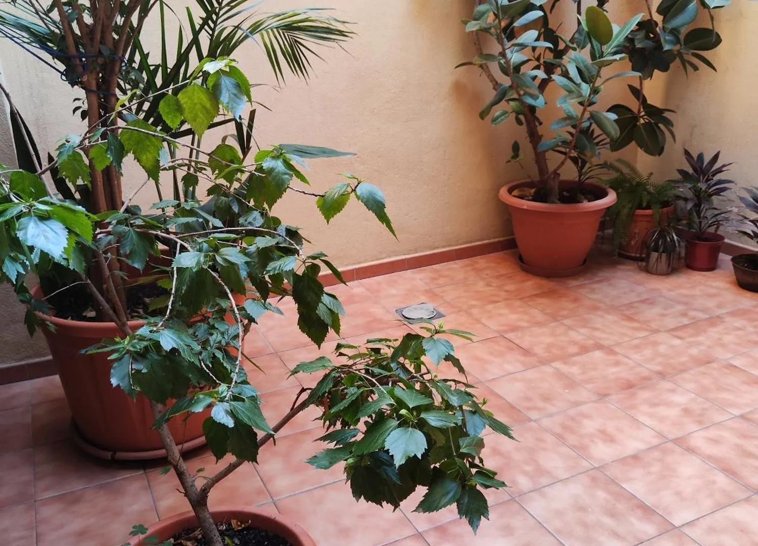 Malaga Experience Apartment Spain