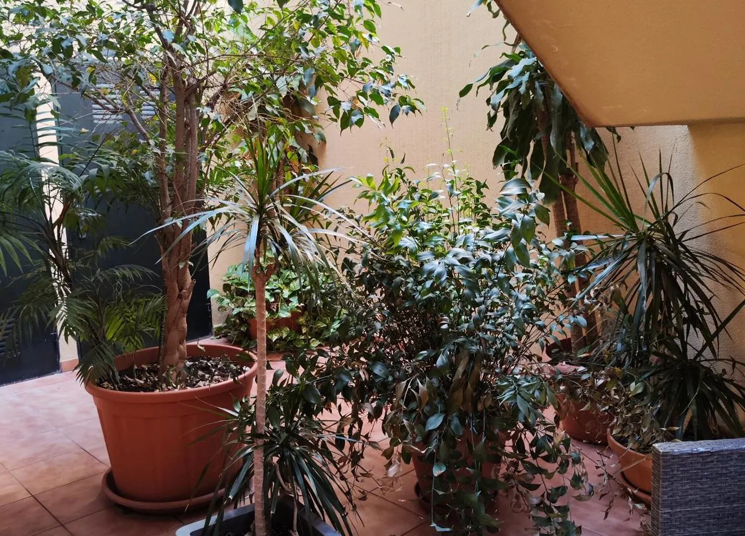 Appartamento Malaga Experience